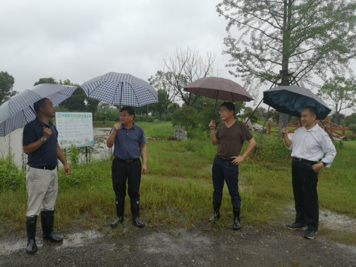 芜湖市农业农村局曹荣富局长赴南陵县查看农业受灾情况